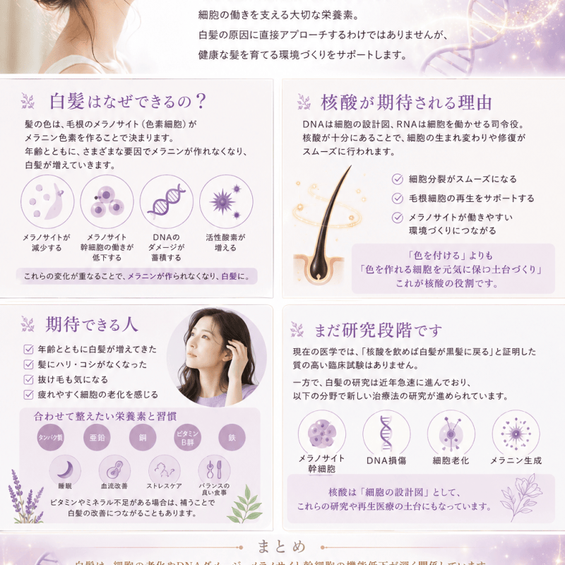 なんで白髪になるの？核酸との関係性は？